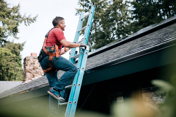 Best Roof Moss and Algae Removal  in New Franklin, OH